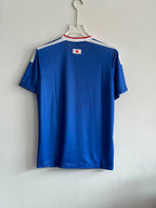 JAPAN HOME 2026 WORLD CUP EMBROIDERY